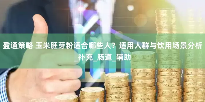 盈通策略 玉米胚芽粉适合哪些人？适用人群与饮用场景分析_补充_肠道_辅助