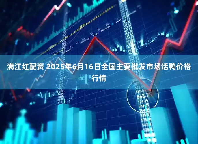 满江红配资 2025年6月16日全国主要批发市场活鸭价格行情